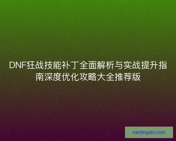 DNF狂战技能补丁全面解析与实战提升指南深度优化攻略大全推荐版